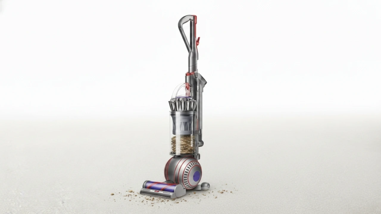 Dyson Ball Animal 3